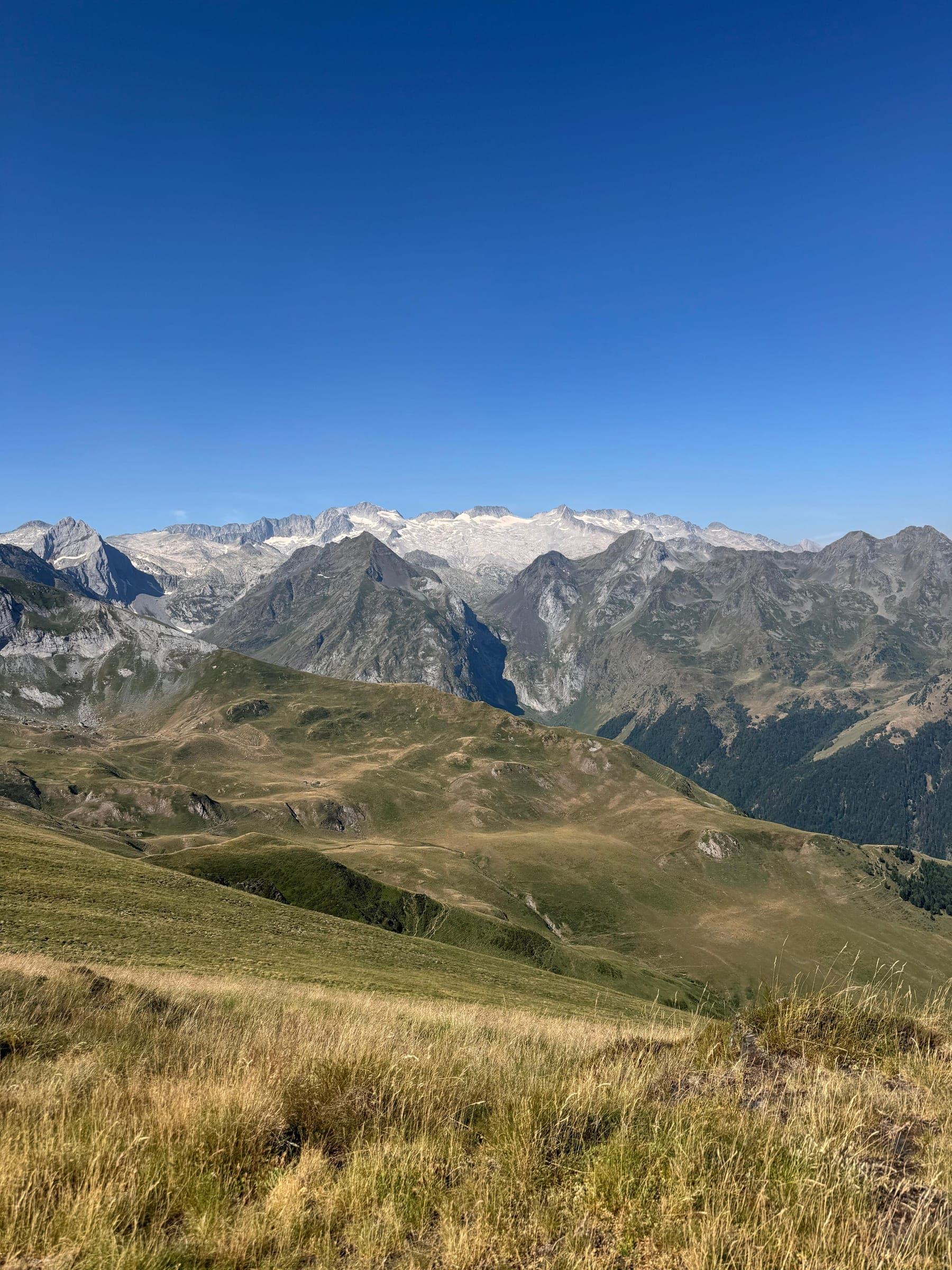 El macizo de la Maladeta con sus cumbres nevadas al fondo